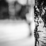 Thumbnail of post image 163