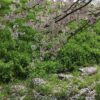 Thumbnail of related posts 044