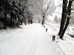 雪道の画像