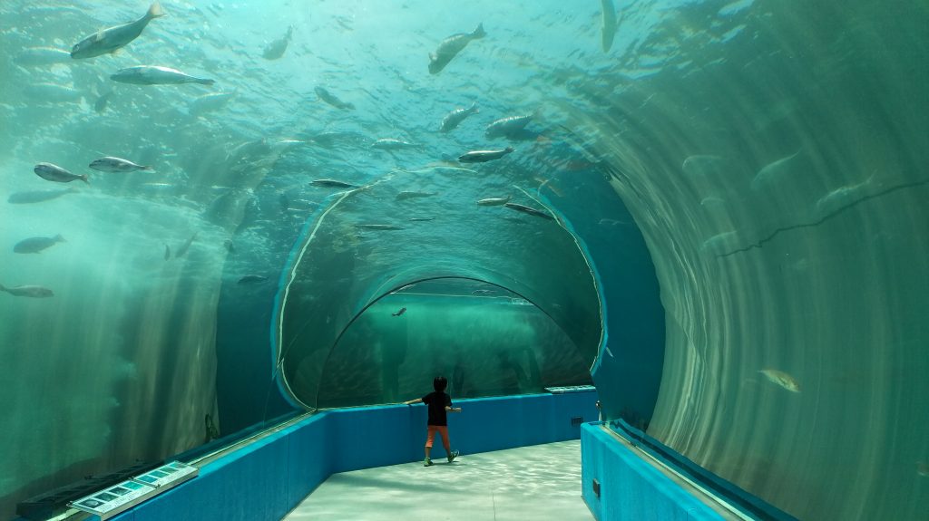 イルカ達の楽園のトンネルの中の写真