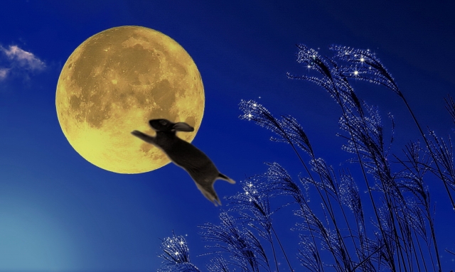 月とうさぎ・お月見のイメージ