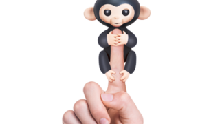 フィンガリングスの引用画像
