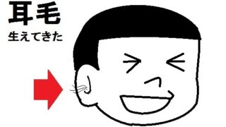 耳毛が生えてきた様子のイラスト