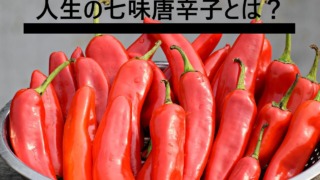 「人生の七味唐辛子とは?」の文字と赤唐辛子