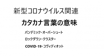 ブンブン ハロー youtube 意味
