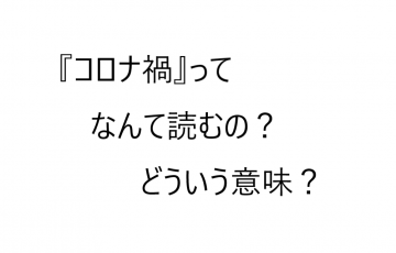 ことわざ 木を見て森を見ず の意味 その状況にならないために気をつけたいこと ロキノログー松原ロキの備忘録的ブログ