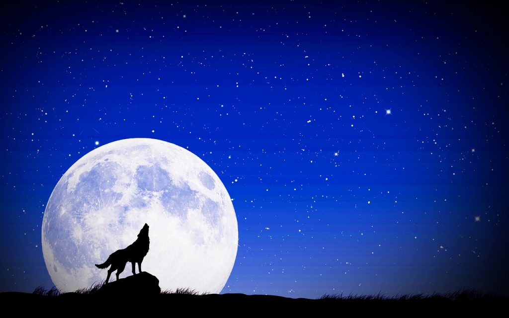 ウルフムーンのイメージ画像・オオカミと満月