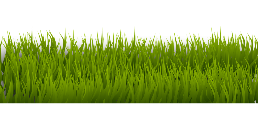 草のイメージ画像