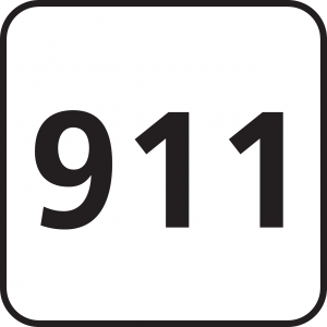 アメリカ緊急通報の日のイメージ・番号911