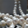 【6月誕生石】真珠（パール）の特徴・意味・宝石言葉・種類・別名を徹底解説！