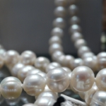 真珠・パールのネックレス