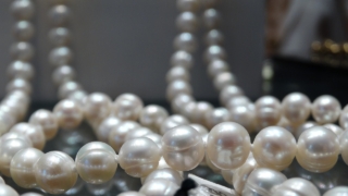 真珠・パールのネックレス