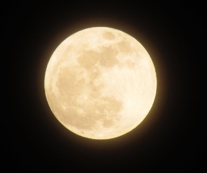 満月のイメージ画像