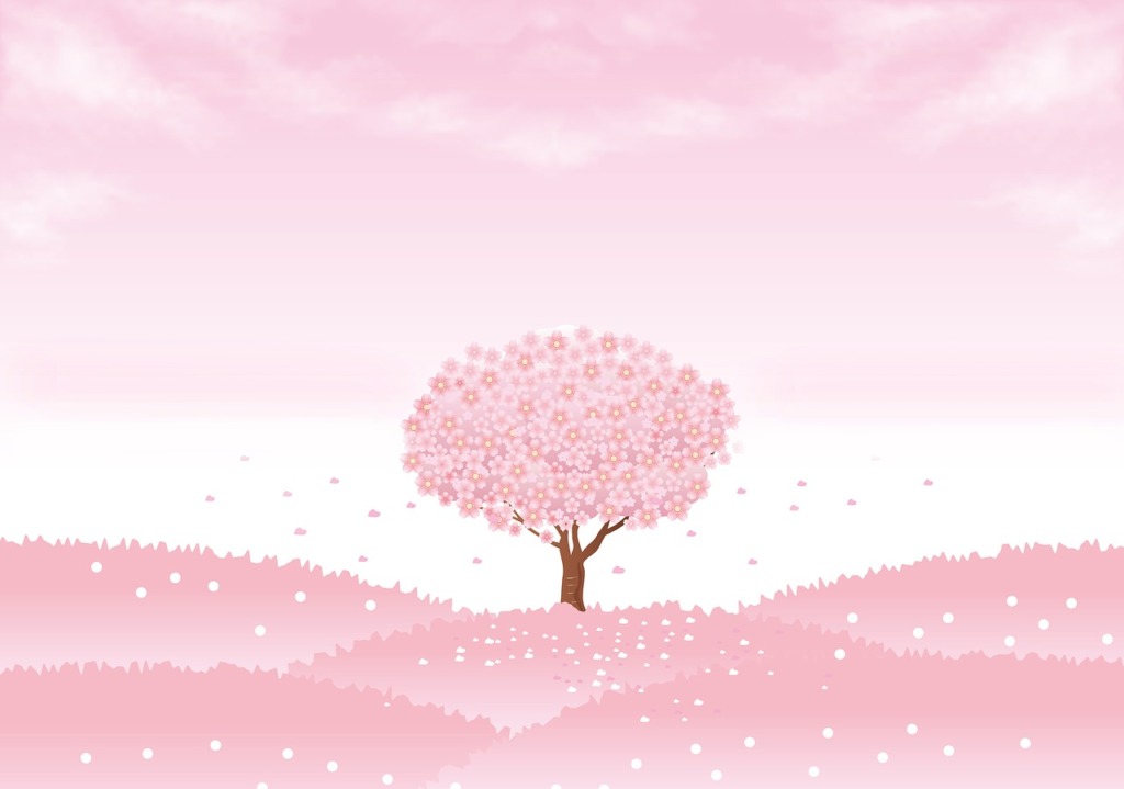 桜のイメージ画像